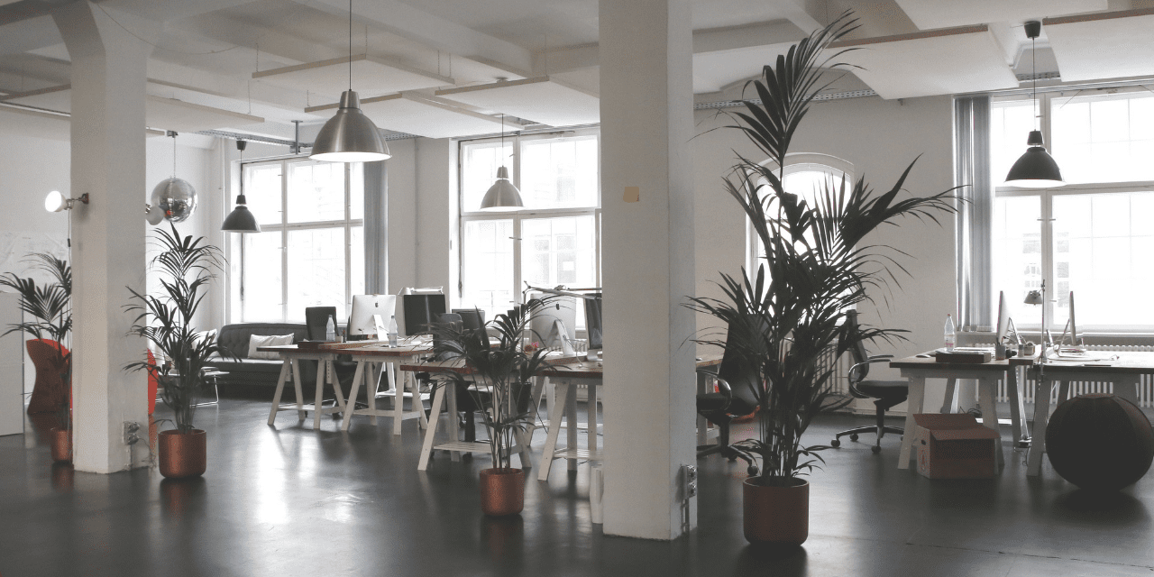A vibrant office space filled with numerous plants and comfortable chairs, creating a refreshing and inviting atmosphere.
