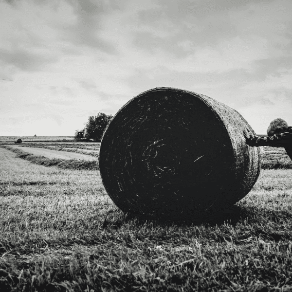 A man exerting effort to push a large round object across a grassy field under a clear sky.